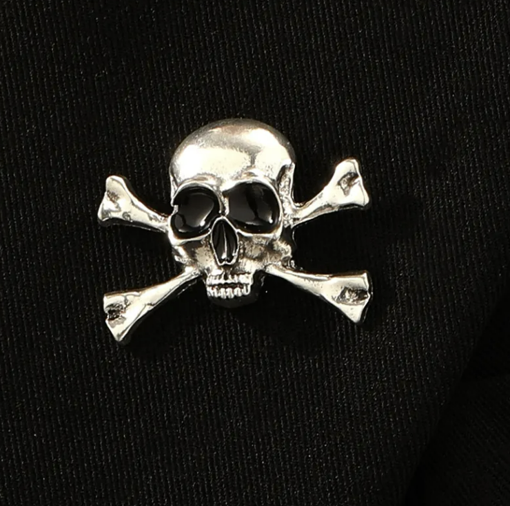 Skull and Crossbones Style Pin