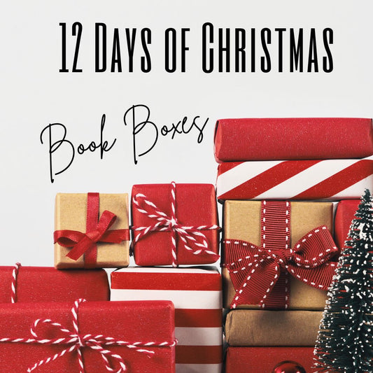 12 Days of Christmas Book Box