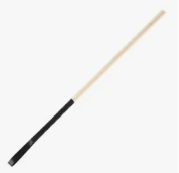 Training Cane